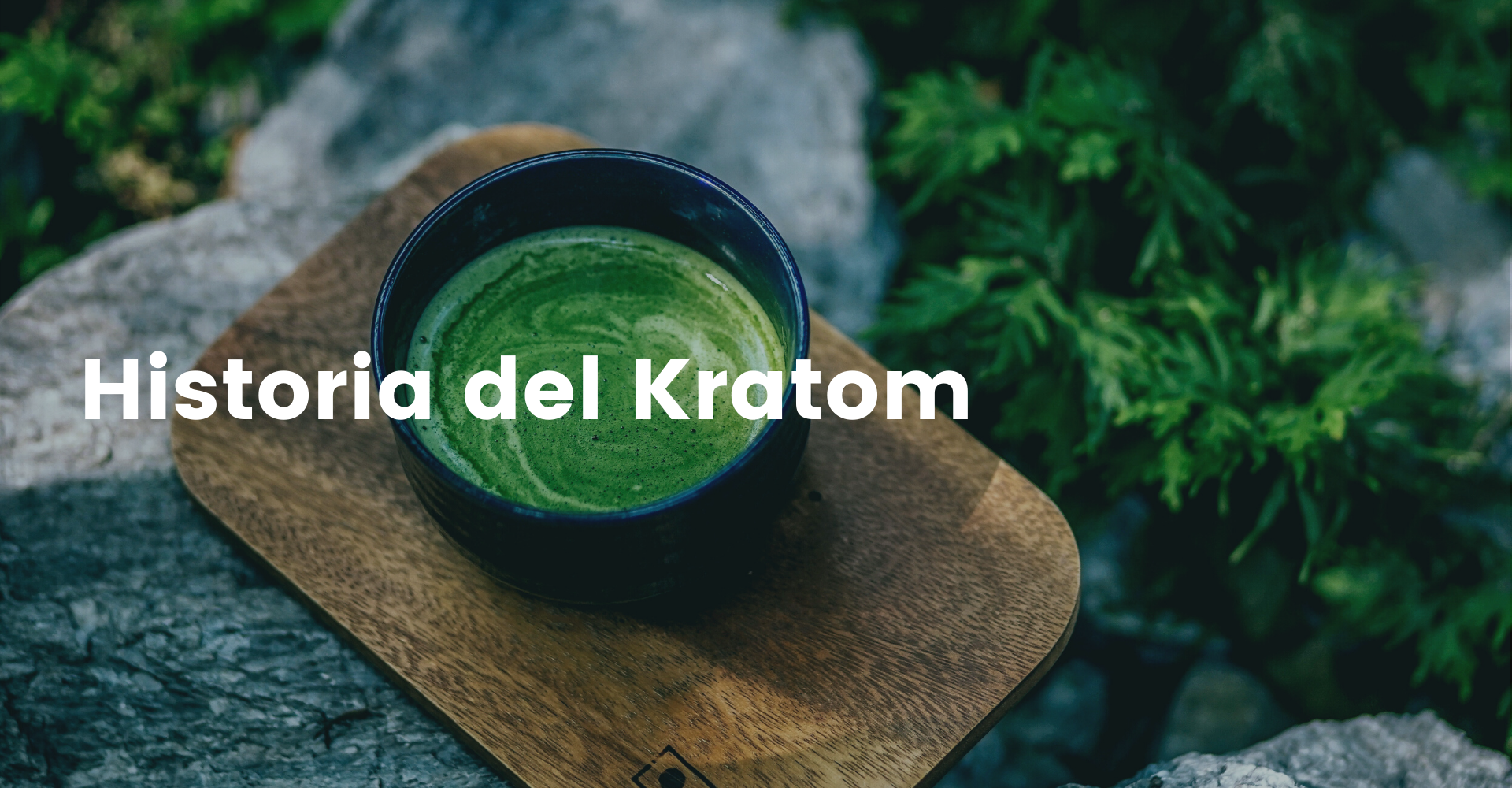 Kratom en España(1)